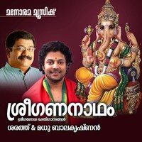 Aanathalayundu