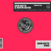 Thing For You (David Guetta Remix) Extended