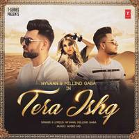 Tera Ishq (From "Tera Ishq")