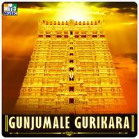Hinbulla Gudiyage