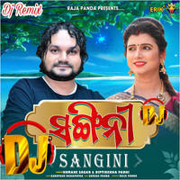 Sangini DJ Remix