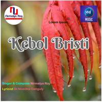 Kebol Bristi