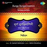 Jay Bnagawat Devi Hymnsrecitations And Devotional Songs