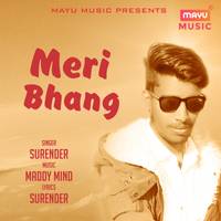 Meri Bhang