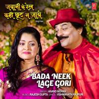 Bada Neek Lage Gori