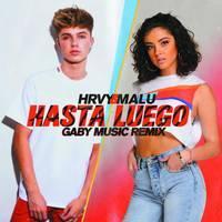 Hasta Luego Gaby Music Remix