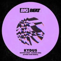 Destiny (feat. Camden Cox) [Kydus 5am Remix] Kydus 5am Remix