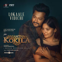 Lokaale Vidichi