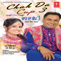 Miss Pooja De Gaane