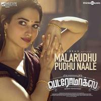 Malarudhu Pudhu Naale