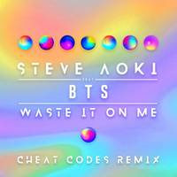 Waste It On Me Cheat Codes Remix