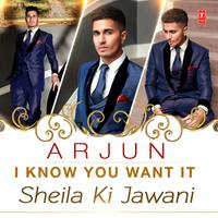 I Know You Want It (Sheila Ki Jawani)