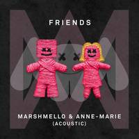 FRIENDS (Acoustic) Acoustic