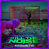 Kill The Noise Acoustic