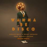 I Wanna Be Disco Dosem Remix