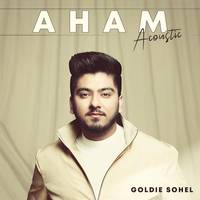 AHAM Acoustic Version