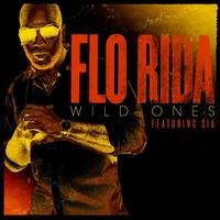 Wild Ones (feat. Sia)