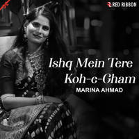 Ishq Mein Tere Koh-e-Gham