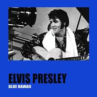 Beach Boys Blue