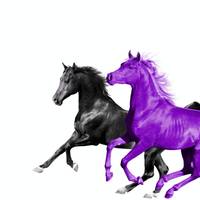 Old Town Road (feat. RM of BTS) Seoul Town Road Remix