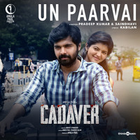 Un Paarvai