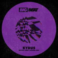 Destiny (feat. Camden Cox) [Extended Mix] Extended Mix