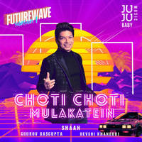 Choti Choti Mulakatein (Futurewave Season 1)
