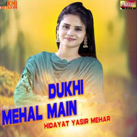 Dukhi Mehal Main