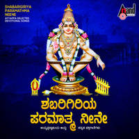 Karthika Masadi