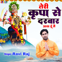Teri Kripa Se Darbar Aaya Hu Main Hindi