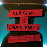 Slow Down (with Calvin Harris)