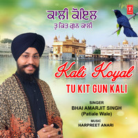 Kali Koyal Tu Kit Gun Kali