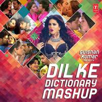 Dil Ke Dictionary Mashup