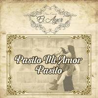 Pasito Mi Amor Pasito