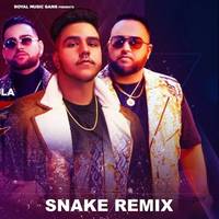 Snake Remix