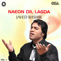 Ghar Aja Naeon Dil Lagda