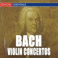 Violin Concerto No. 2 in E Major, BWV 1042: III. Allegro assai