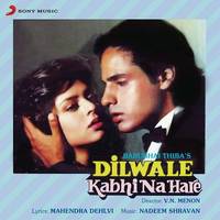 Dilwale Kabhi Na Hare