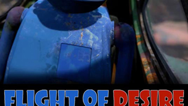 Flight of Desire