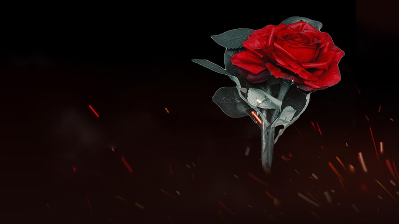 Love And War