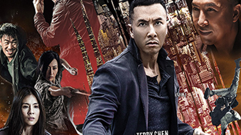 Kung Fu Killer (Kung Fu Jungle)