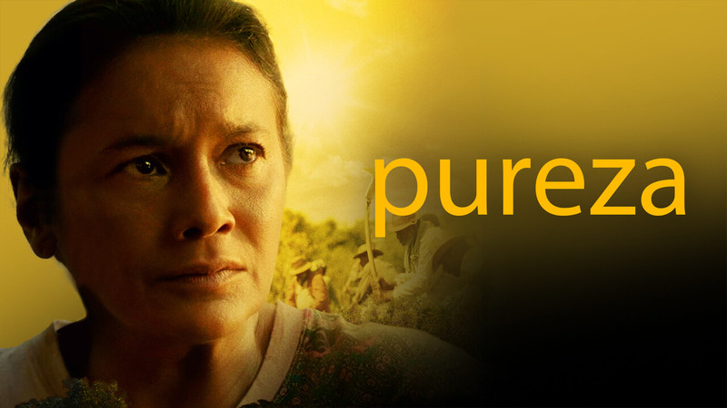 Pureza