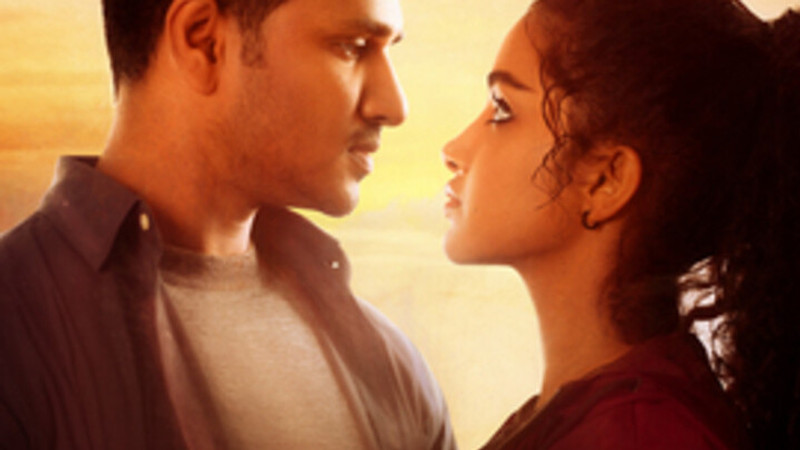 Nannu Nenu Adigaa - Karthikeya 2 (Video)