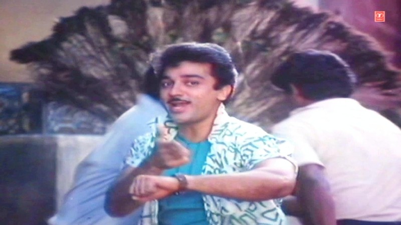 Aaya Hai Raja