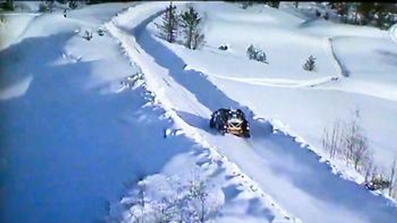 Rally