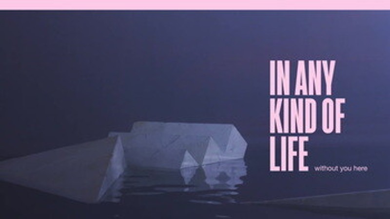 Any Kind Of Life