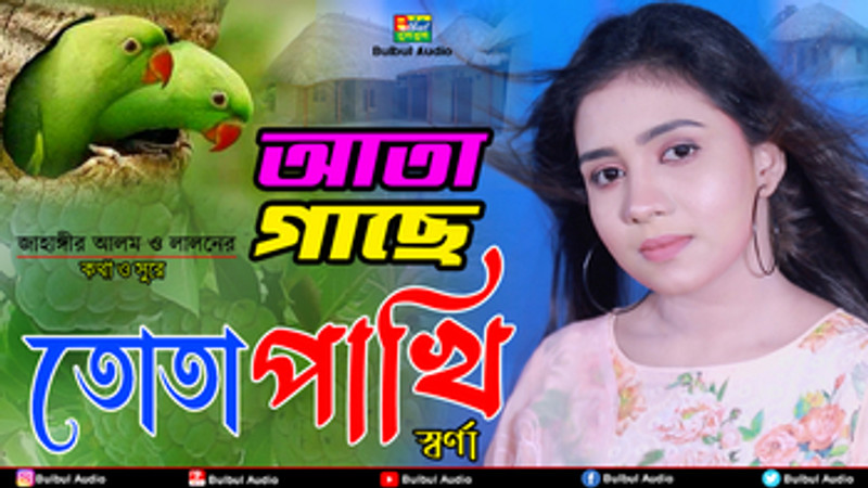 Ata Gache Tuta Pakhi