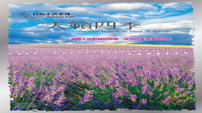 01-11Time To Say Goodbye  莎拉布萊曼首支單曲