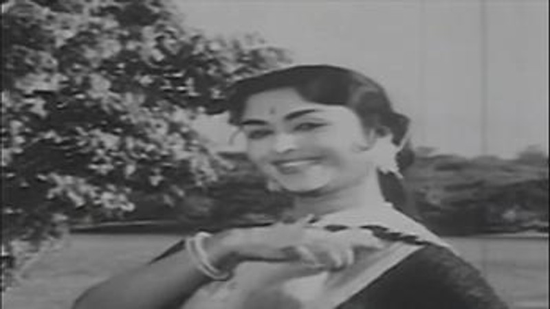 Paravagale Paravagale