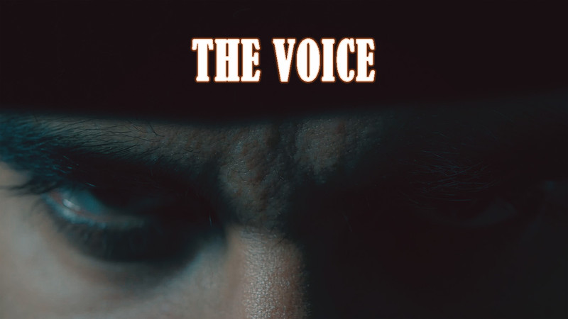 The Voice